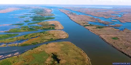 Нижняя Волга — прославленное рыбацкое эльдорадо