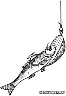 Flat-oval jig for fishing for fry