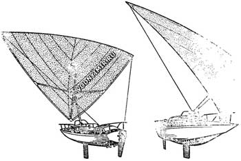 Variant of sailing rigging with a hang glider sail